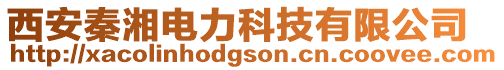 西安秦湘電力科技有限公司