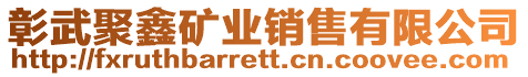 彰武聚鑫礦業銷售有限公司