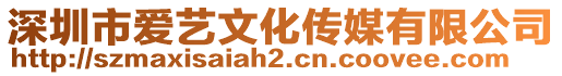 深圳市愛藝文化傳媒有限公司