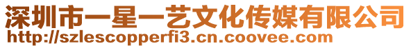 深圳市一星一藝文化傳媒有限公司