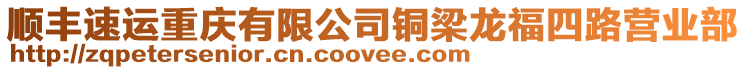 順豐速運重慶有限公司銅梁龍福四路營業(yè)部