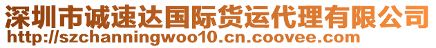 深圳市誠速達(dá)國際貨運(yùn)代理有限公司