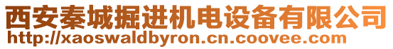 西安秦城掘進機電設備有限公司