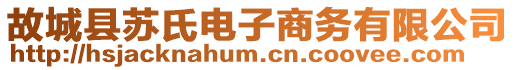 故城縣蘇氏電子商務(wù)有限公司