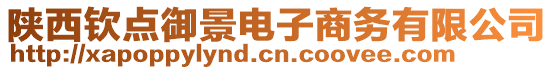 陜西欽點(diǎn)御景電子商務(wù)有限公司