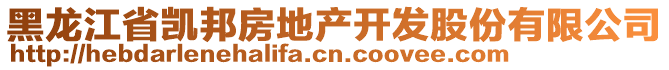 黑龍江省凱邦房地產開發(fā)股份有限公司