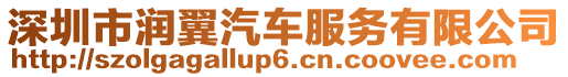 深圳市潤翼汽車服務(wù)有限公司