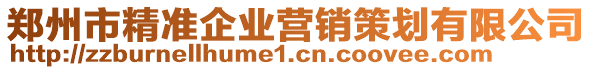 鄭州市精準(zhǔn)企業(yè)營銷策劃有限公司