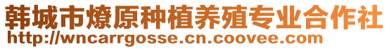 韓城市燎原種植養(yǎng)殖專業(yè)合作社