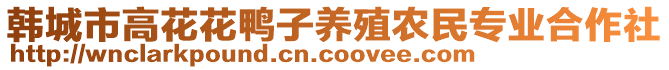 韓城市高花花鴨子養殖農民專業合作社