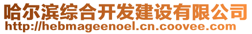 哈爾濱綜合開發建設有限公司