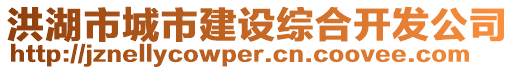 洪湖市城市建设综合开发公司