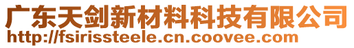 廣東天劍新材料科技有限公司
