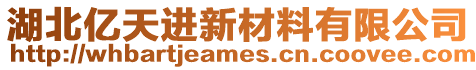 湖北億天進新材料有限公司