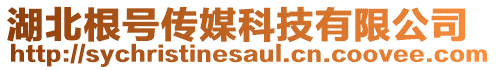 湖北根號傳媒科技有限公司