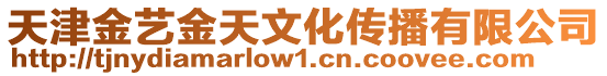 天津金藝金天文化傳播有限公司