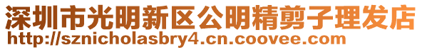 深圳市光明新區公明精剪子理發店