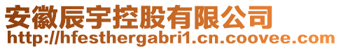 安徽辰宇控股有限公司