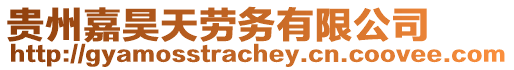 貴州嘉昊天勞務(wù)有限公司
