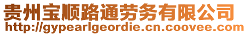 貴州寶順路通勞務有限公司