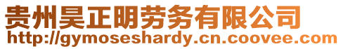 貴州昊正明勞務有限公司