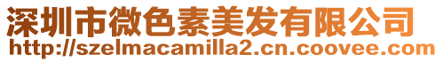 深圳市微色素美發有限公司