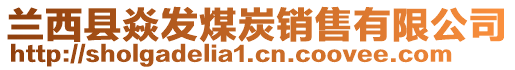 蘭西縣焱發煤炭銷售有限公司