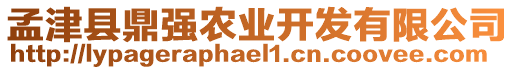 孟津縣鼎強農業開發有限公司