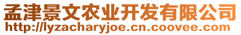 孟津景文農(nóng)業(yè)開發(fā)有限公司