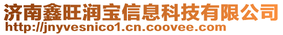 濟南鑫旺潤寶信息科技有限公司