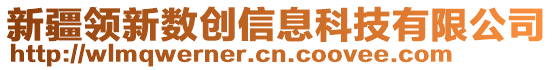 新疆領新數創信息科技有限公司