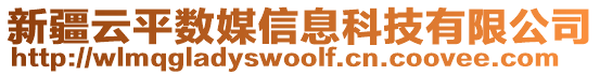 新疆云平數(shù)媒信息科技有限公司