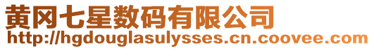 黃岡七星數(shù)碼有限公司