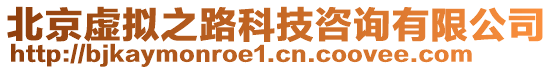 北京虛擬之路科技咨詢有限公司