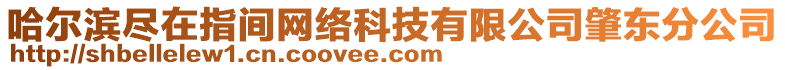 哈爾濱盡在指間網(wǎng)絡科技有限公司肇東分公司