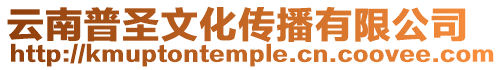 云南普圣文化傳播有限公司