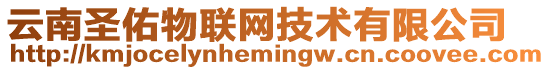 云南圣佑物聯(lián)網(wǎng)技術(shù)有限公司