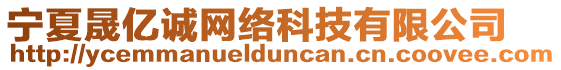 寧夏晟億誠(chéng)網(wǎng)絡(luò)科技有限公司