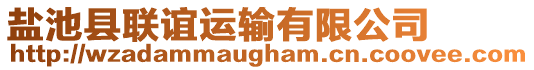 鹽池縣聯誼運輸有限公司