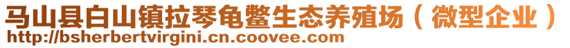 馬山縣白山鎮(zhèn)拉琴龜鱉生態(tài)養(yǎng)殖場(chǎng)（微型企業(yè)）