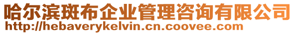 哈爾濱斑布企業(yè)管理咨詢(xún)有限公司