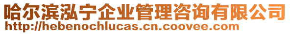 哈爾濱泓寧企業(yè)管理咨詢有限公司