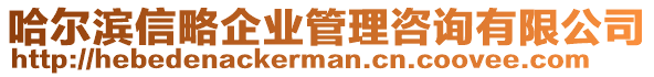 哈爾濱信略企業(yè)管理咨詢有限公司