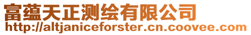 富蕴天正测绘有限公司