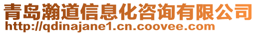 青島瀚道信息化咨詢有限公司