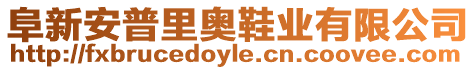 阜新安普里奧鞋業(yè)有限公司