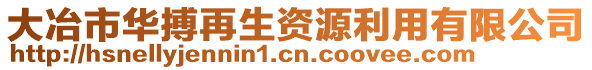 大冶市華搏再生資源利用有限公司