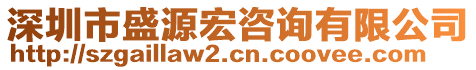 深圳市盛源宏咨詢有限公司