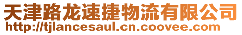 天津路龍速捷物流有限公司