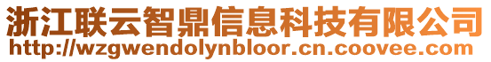 浙江聯(lián)云智鼎信息科技有限公司